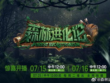 森林进化论：揭示生态演替与生物多样性的奥秘